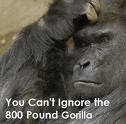 gorilla images