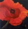 oilartist's picture oilartist's picture