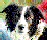 gooddogmac's picture gooddogmac's picture