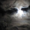 rebs569's picture rebs569's picture