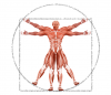 Dr. Muscle's picture Dr. Muscle's picture