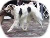 AgustBorzoi's picture AgustBorzoi's picture