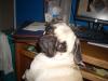 MiniMax's picture MiniMax's picture