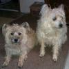 pjsemail1's picture pjsemail1's picture