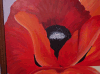 illustrator5's picture illustrator5's picture