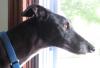AZZO45's picture AZZO45's picture