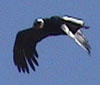 rsmithnocal's picture rsmithnocal's picture