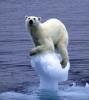 Ursel Twing's picture Ursel Twing's picture