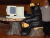 bobthebear's picture bobthebear's picture