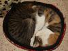 Moose N Squirrel's picture Moose N Squirrel's picture
