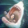 Mark the Shark's picture Mark the Shark's picture